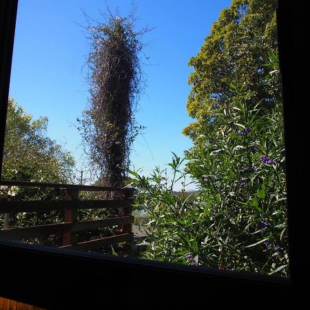 Cosy, Comfortable Cottage - Views & Location Plus Beauty Point Zewnętrze zdjęcie