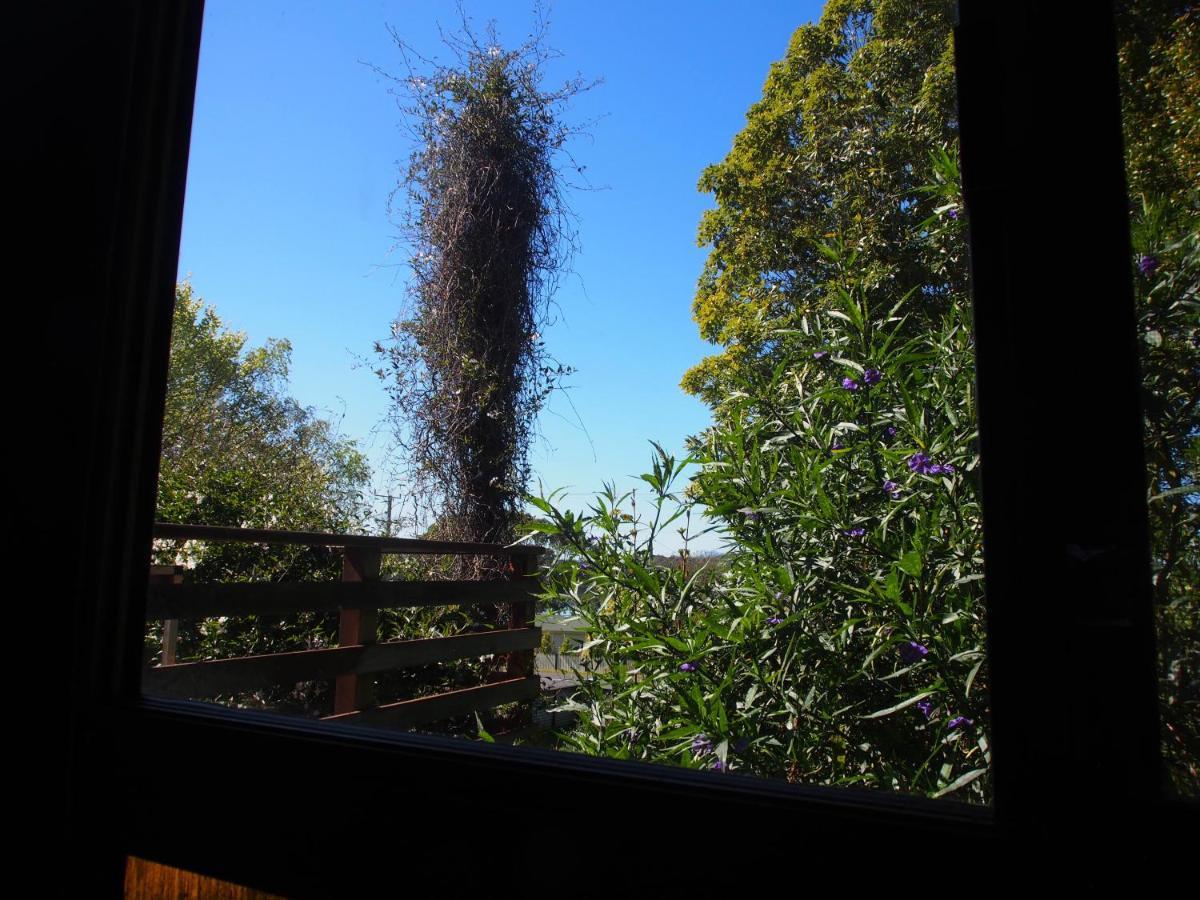 Cosy, Comfortable Cottage - Views & Location Plus Beauty Point Zewnętrze zdjęcie