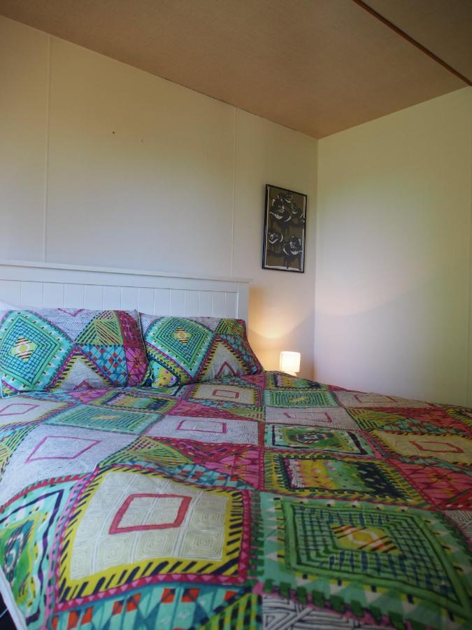 Cosy, Comfortable Cottage - Views & Location Plus Beauty Point Zewnętrze zdjęcie